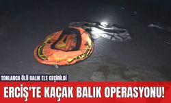 Erciş'te Kaçak balık Operasyonu! Tonlarca Ölü Balık Ele Geçirildi