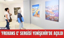 'Frekans C' Sergisi Yenişehir'de Açıldı