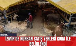 İzmir'de Kurban Satış Yerleri Kura ile Belirlendi