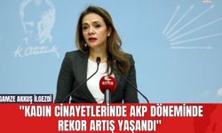 Gamze Akkuş İlgezdi: "Kadın Cinayetlerinde AKP Döneminde Rekor Artış Yaşandı"