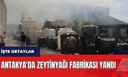 Hatay Antakya'da zeytinyağı fabrikası yandı