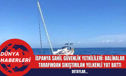 İspanya Sahil Güvenlik Yetkilileri: Balinalar Tarafından Sıkıştırılan Yelkenli Yat Battı