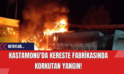 Kastamonu'da Kereste Fabrikasında Korkutan Yangın!
