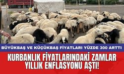 Kurbanlık fiyatlarındaki zamlar yıllık enflasyonu aştı! Kurban fiyatları yüzde 300 arttı