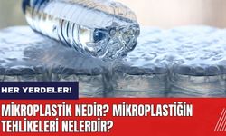 Mikroplastik nedir? Mikroplastiğin tehlikeleri nelerdir?