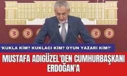Mustafa Adıgüzel'den Cumhurbaşkanı Erdoğan'a: 'Kukla kim? Kuklacı kim? Oyun yazarı kim?'