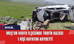 Muş'un Varto İlçesinde Trafik Kazası: 1 Kişi Hayatını Kaybetti