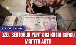 Özel sektörün yurt dışı kredi borcu martta arttı