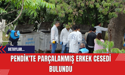 Pendik'te Parçalanmış Erkek Cesedi Bulundu