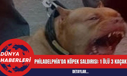 Philadelphia'da Köpek Saldırısı: 1 Ölü 3 Kaçak