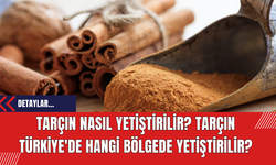 Tarçın Nasıl Yetiştirilir? Tarçın Türkiye'de Hangi Bölgede Yetiştirilir?