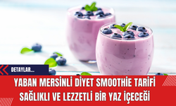 Yaban Mersinli Diyet Smoothie Tarifi: Sağlıklı ve Lezzetli Bir Yaz İçeceği