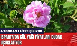 4 tondan 1 litre çıkıyor! Isparta'da gül yağı fiyatları dudak uçuklatıyor