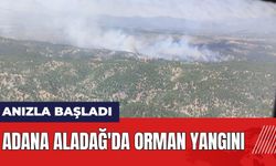 Adana Aladağ'da orman yangını!