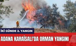 Adana Karaisalı'da orman yangını