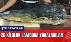 Adana Karataş'ta 26 kiloluk lambuka yakaladılar