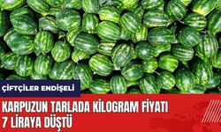 Adana karpuzunun tarlada kilogram fiyatı 7 liraya düştü