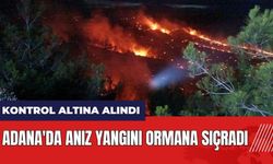 Adana'da anız yangını ormana sıçradı