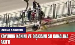 Adana'da iğrenç görüntü! Koyunun kan ve dışkısını su kanalına akıttı