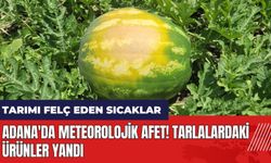 Adana'da meteorolojik afet! Tarlalardaki ürünler yandı