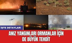 Anız yangınları ormanlar için de büyük tehdit