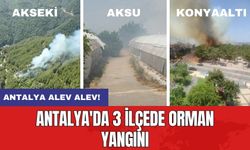Antalya alev alev! Antalya'da 3 ilçede orman yangını!