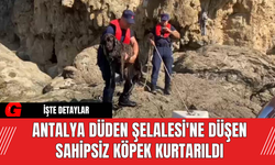 Antalya Düden Şelalesi'ne Düşen Sahipsiz Köpek Kurtarıldı