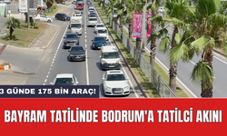 Bayram tatilinde Bodrum'a tatilci akını: 3 günde 175 bin Araç!