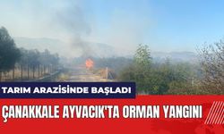 Çanakkale Ayvacık'ta orman yangını