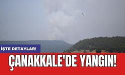 Çanakkale'de yangın!