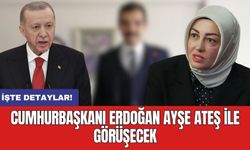 Cumhurbaşkanı Erdoğan Sinan Ateş'in eşi Ayşe Ateş ile görüşecek