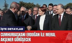 Cumhurbaşkanı Erdoğan ile Meral Akşener bugün görüşecek