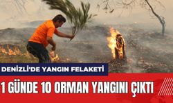 Denizli'de yangın felaketi! 1 günde 10 orman yangını çıktı