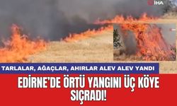 Edirne'de örtü yangını 3 köye sıçradı: Tarlalar ağaçlar ahırlar alev alev yanıyor