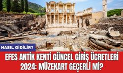 Efes Antik Kenti Güncel Giriş Ücretleri 2024: Müzekart Geçerli Mi? Nasıl Gidilir?