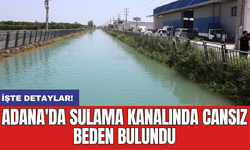 Adana'da sulama kanalında cansız beden bulundu