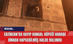 Erzincan’da kayıp kangal köpeği harabe binada hapsedilmiş halde bulundu