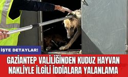 Gaziantep Valiliği'nden kuduz hayvan nakliyle ilgili iddialara yalanlama