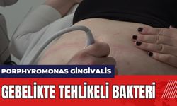 Gebelikte tehlikeli bakteri: Porphyromonas Gingivalis