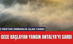 Gece başlayan yangın Antalya'yı sardı
