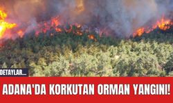Adana'da Korkutan Orman Yangını!