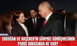 Erdoğan ve Akşener'in Sürpriz Görüşmesinin Perde Arkasında Ne Var?