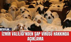 İzmir Valiliği'nden Şap Virüsü Hakkında Açıklama