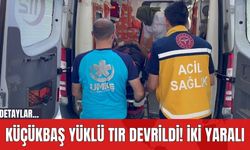 Küçükbaş Yüklü Tır Devrildi! İki Yaralı