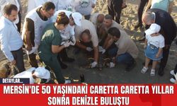 Mersin'de 50 yaşındaki Caretta Caretta Yıllar Sonra Denizle Buluştu