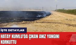 Hatay Kumlu'da çıkan anız yangını korkuttu