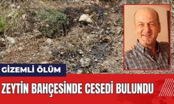 Hatay'da gizemli ölüm! Zeytinlikte ces*di bulundu