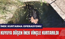 Hatay'da kuyuya düşen inek vinçle kurtarıldı