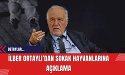 İlber Ortaylı’dan sokak hayvanları için açıklama