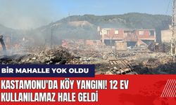 Kastamonu'da köy yangını! 12 ev kullanılamaz hale geldi